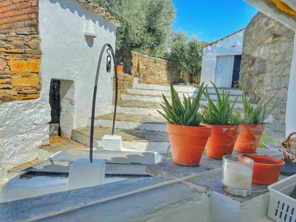 Villa Oliva Sao Pedro São Pedro do Corval Екстериор снимка